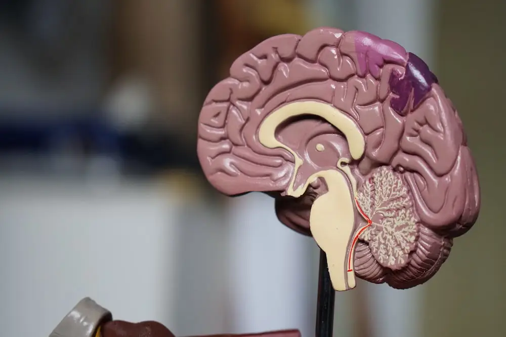 What Does Ketamine Do To Your Brain?